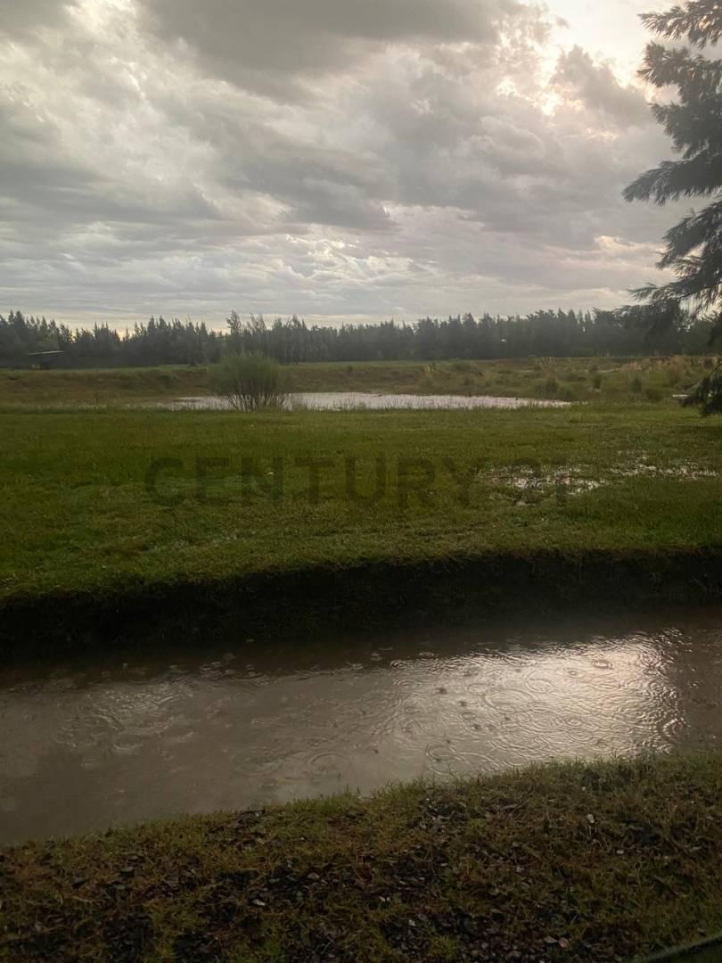 Foto de LOTE EN VENTA EN BRANDSEN, imagen 4