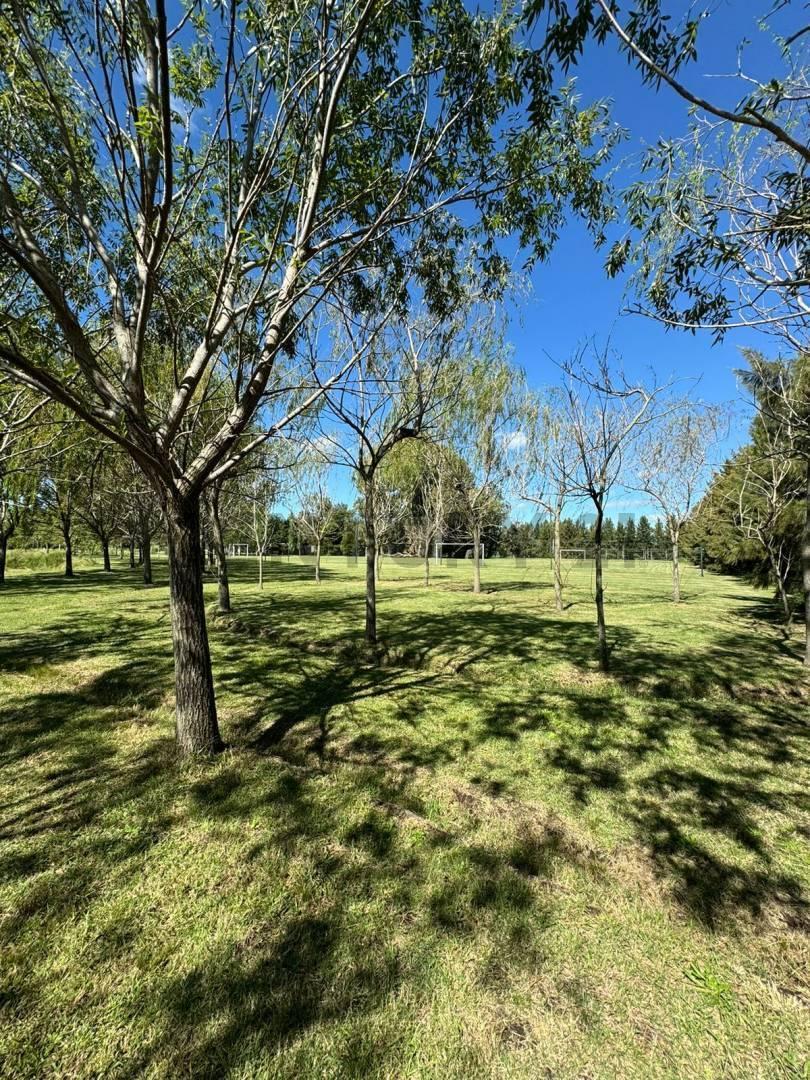 LOTE EN VENTA EN BRANDSEN