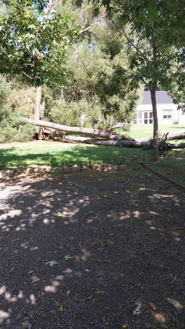 Foto de LOTE EN VENTA EN BRANDSEN, imagen 3