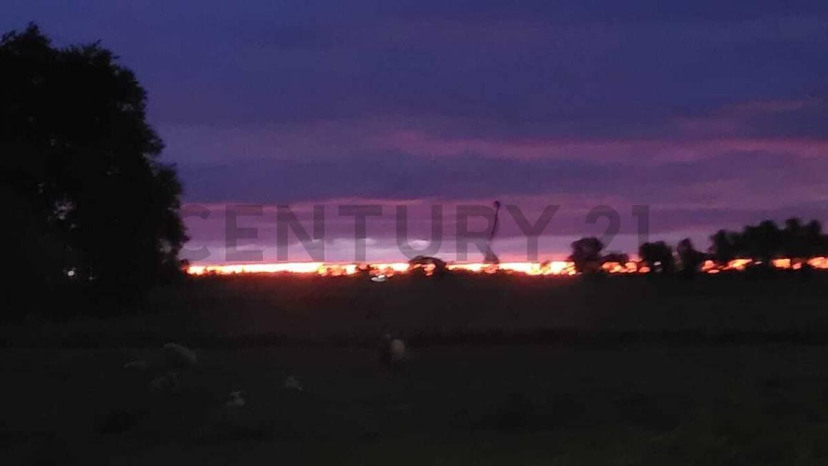 Foto de LOTE EN VENTA EN BRANDSEN, imagen 5