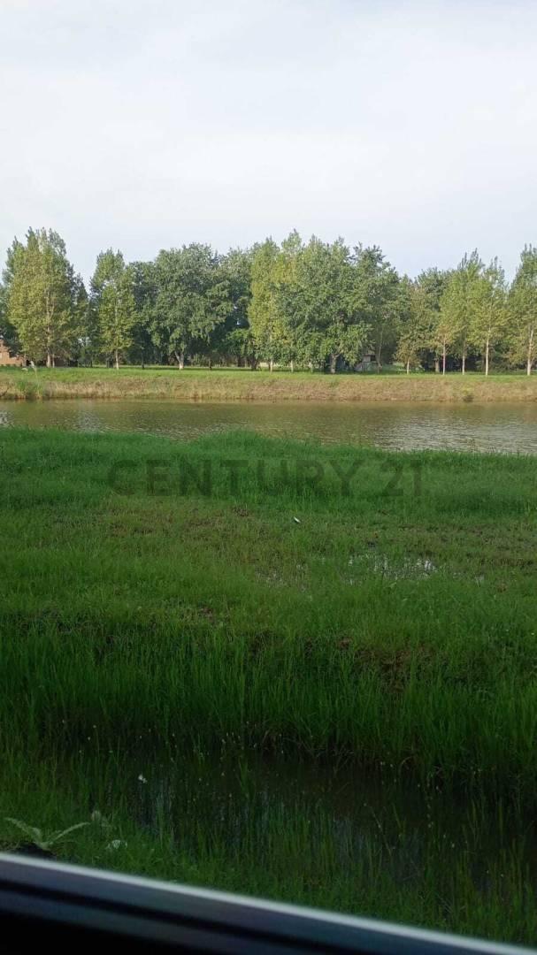 Foto de LOTE EN VENTA EN BRANDSEN, imagen 2