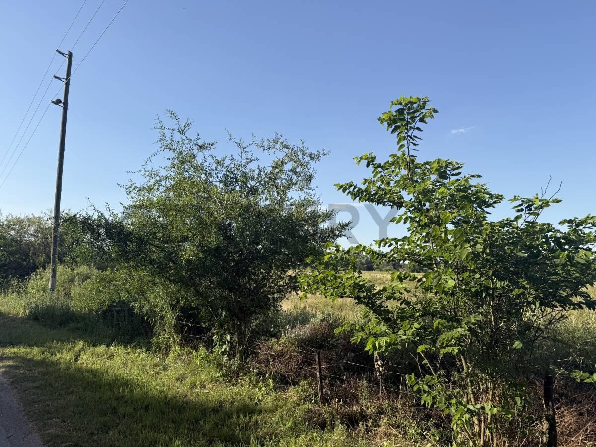 Foto de LOTE EN ARTURO SEGUI CALLE 137 E/ 419 Y 420 EN VENTA, imagen 3