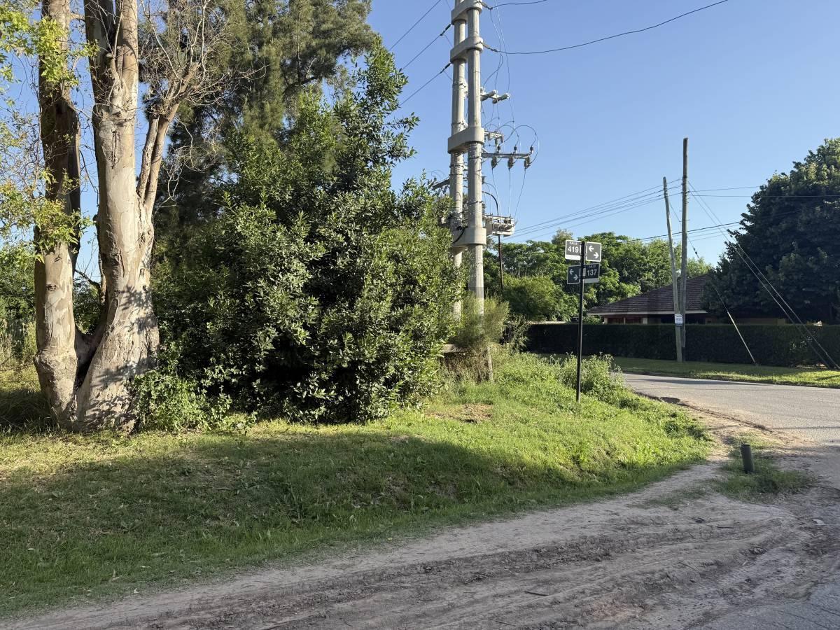 Foto de LOTE EN ARTURO SEGUI CALLE 137 E/ 419 Y 420 EN VENTA, imagen 5