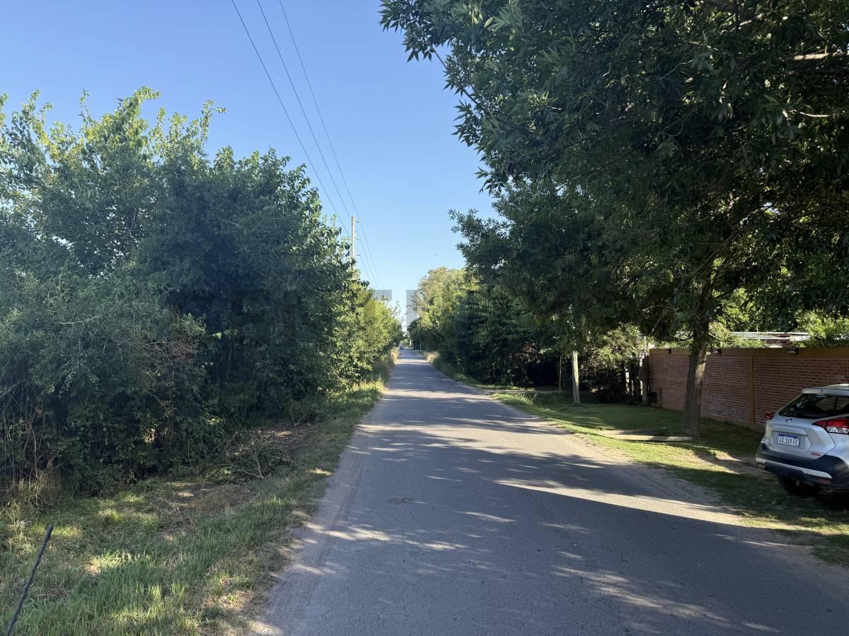 Foto de LOTE EN ARTURO SEGUI CALLE 137 E/ 419 Y 420 EN VENTA, imagen 2