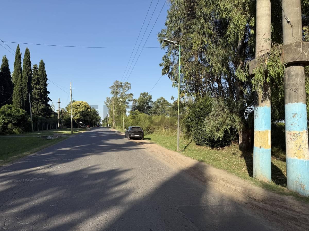 Foto de LOTE EN ARTURO SEGUI CALLE 137 E/ 419 Y 420 EN VENTA, imagen 4