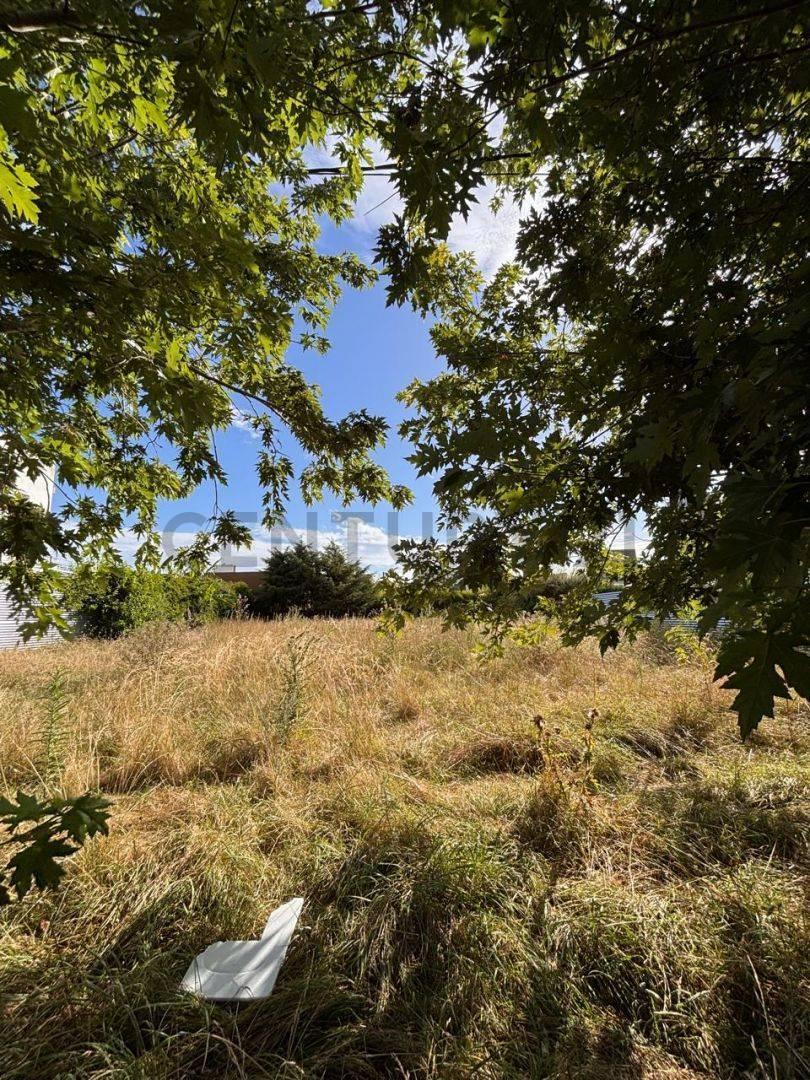 Foto de Venta de Lote Don Carlos La Plata calle 132 bis E/ 507 Y 508, imagen 4