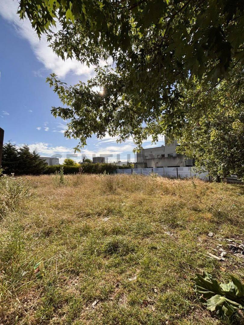 Foto de Venta de Lote Don Carlos La Plata calle 132 bis E/ 507 Y 508, imagen 2