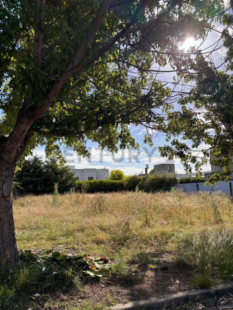 Foto de Venta de Lote Don Carlos La Plata calle 132 bis E/ 507 Y 508, imagen 1