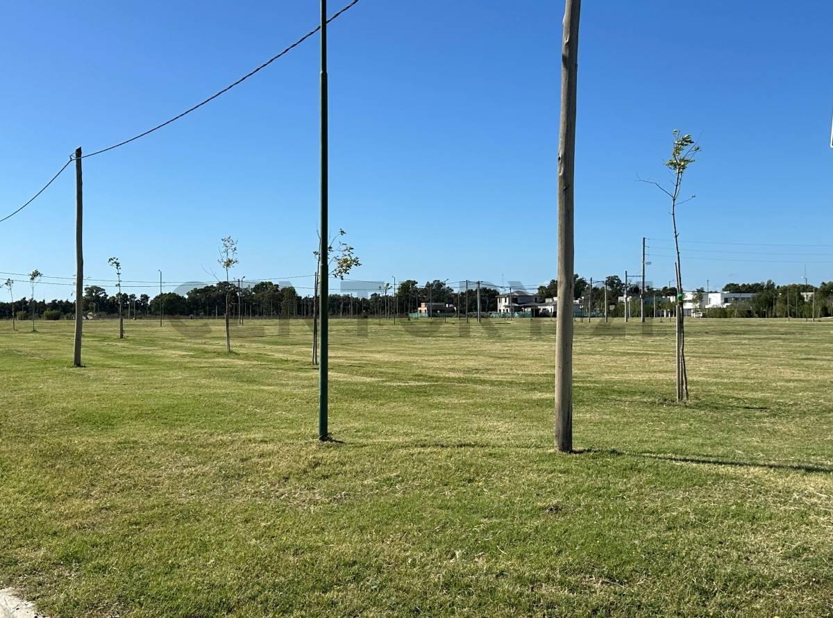 Foto de Terreno en venta en City Bell, imagen 3