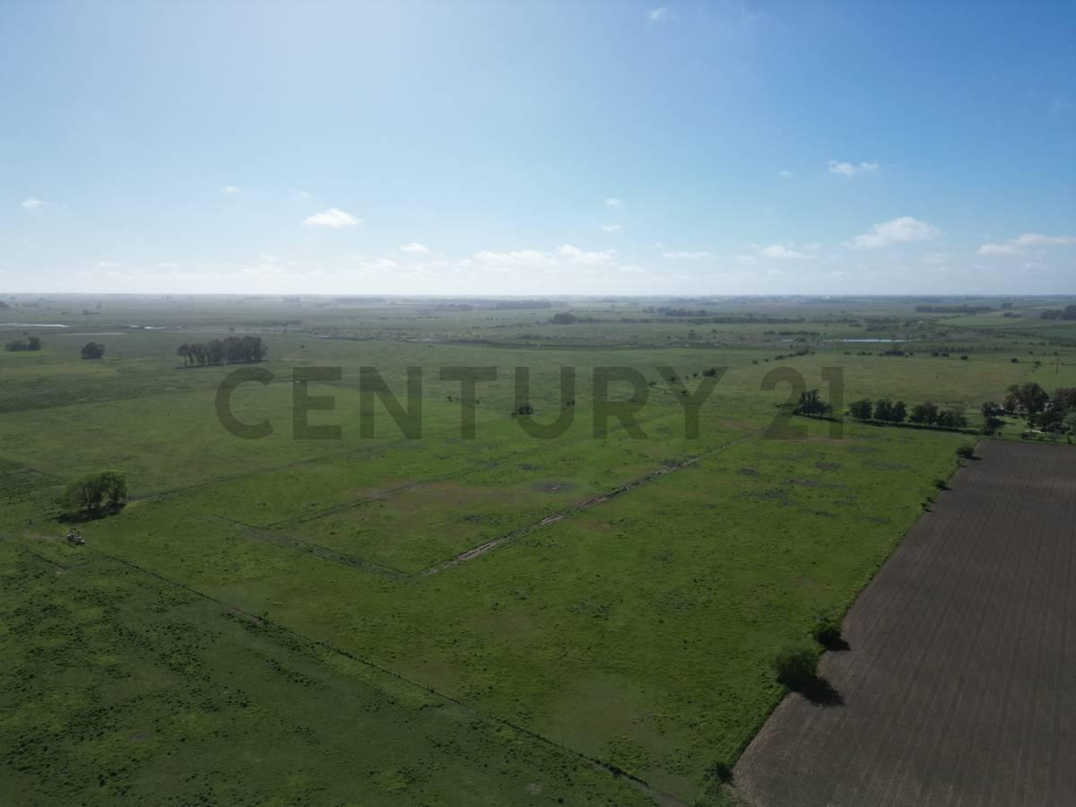 Foto de Campo de 14 hectáreas | Ignacio Correas 22 y 699, imagen 2