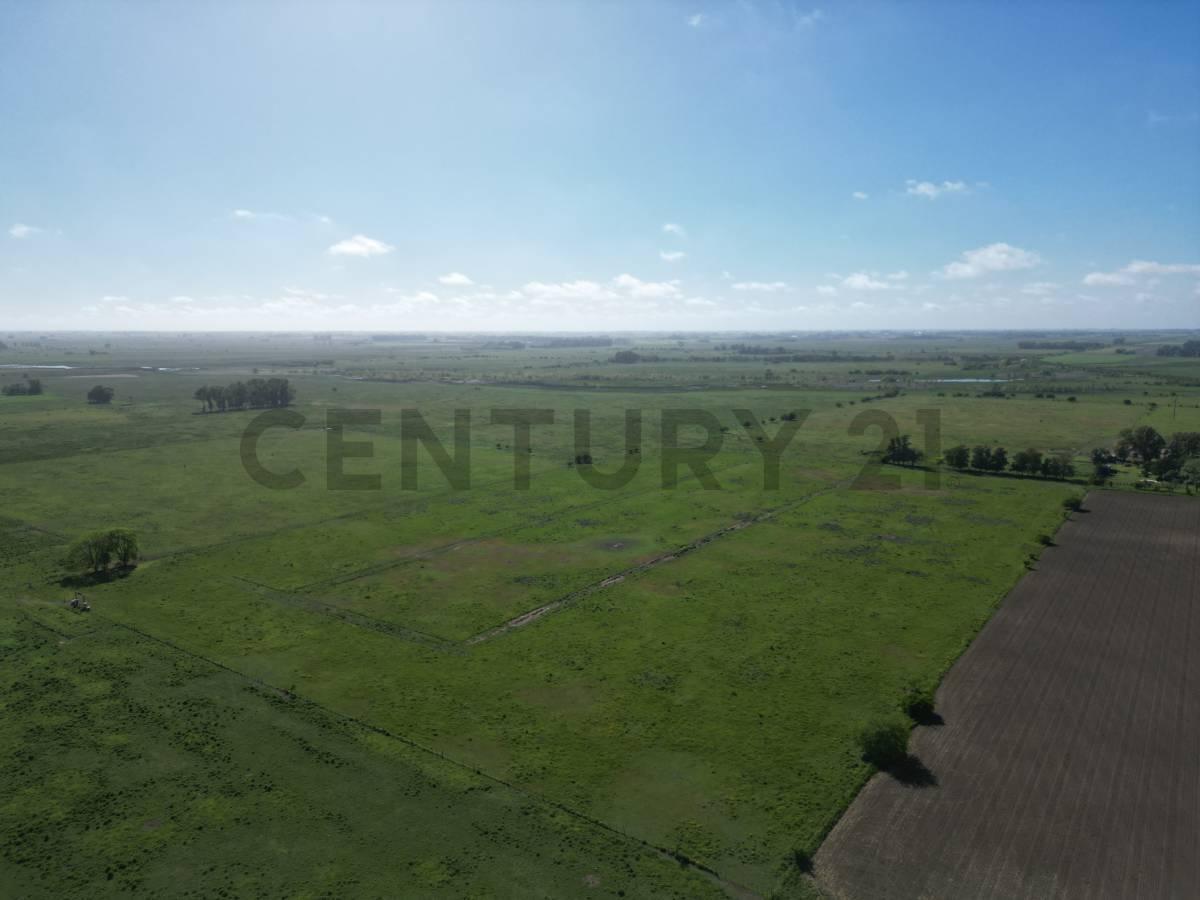 Foto de Campo de 14 hectáreas | Ignacio Correas 22 y 699, imagen 3
