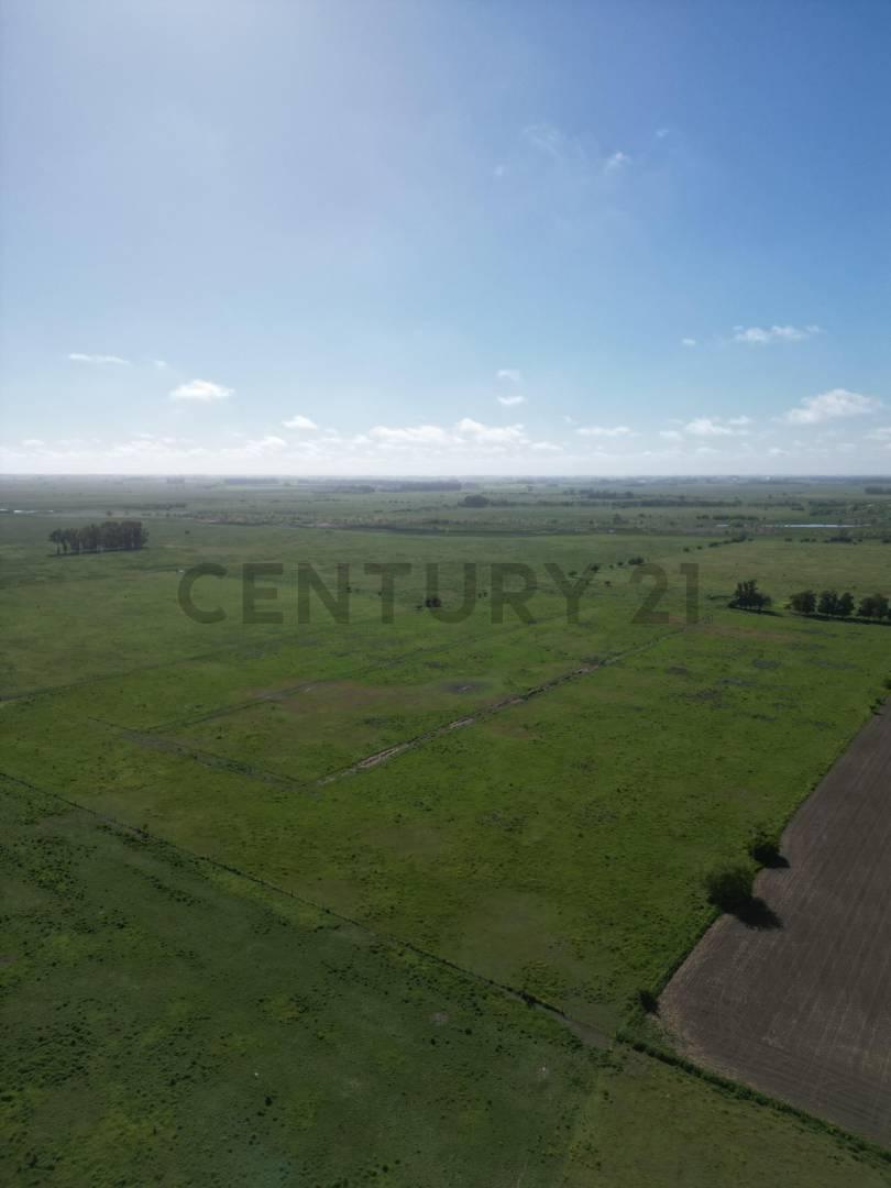 Foto de Campo de 14 hectáreas | Ignacio Correas 22 y 699, imagen 4