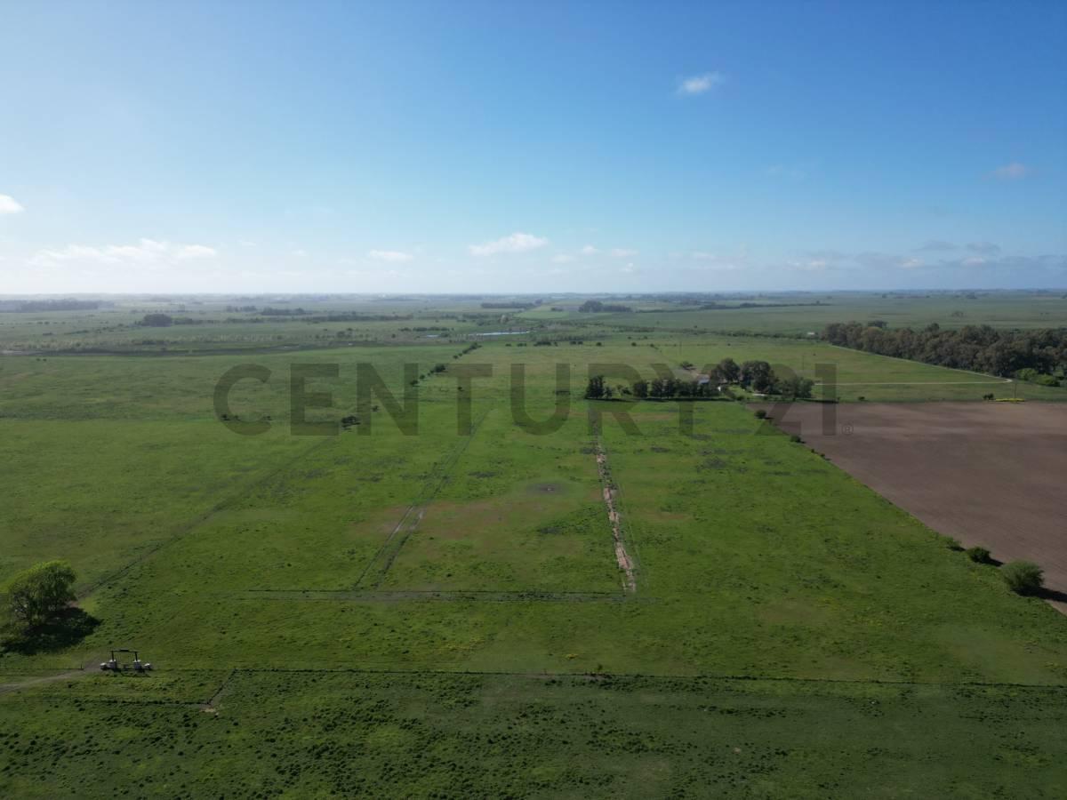 Foto de Campo de 14 hectáreas | Ignacio Correas 22 y 699, imagen 5