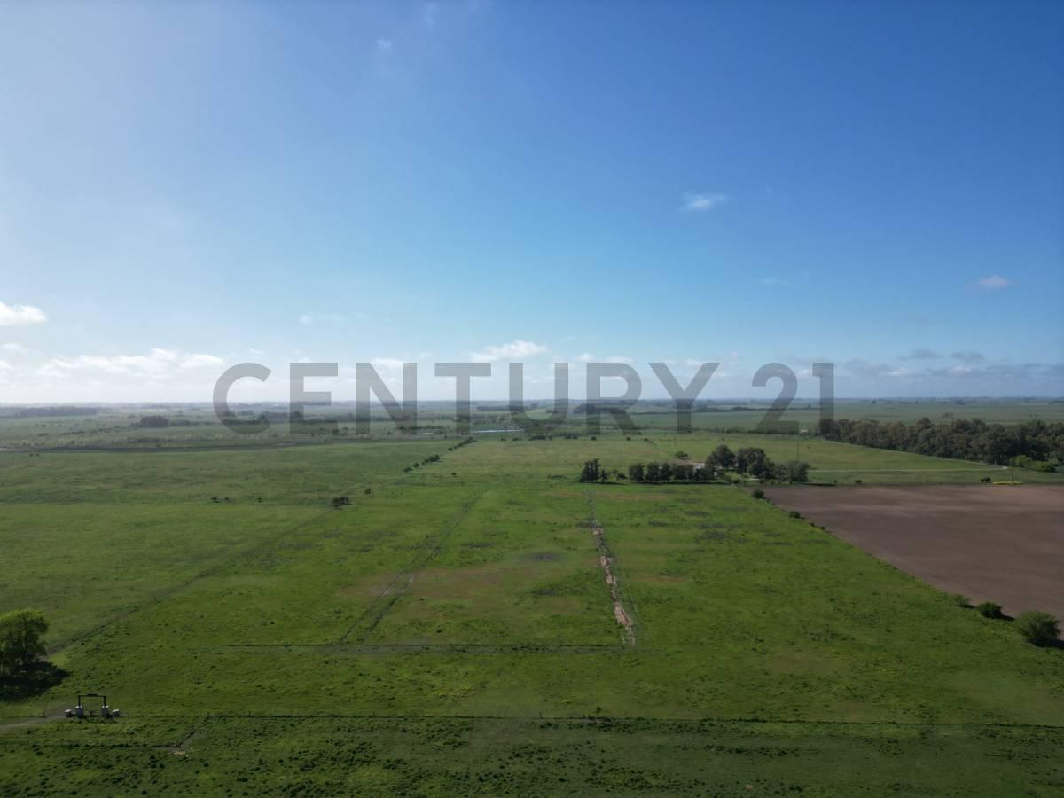 Foto de Campo de 14 hectáreas | Ignacio Correas 22 y 699, imagen 1