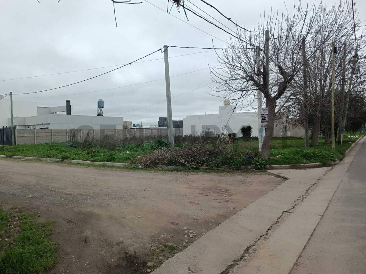 Foto de TERRENO LOTE EN VENTA BARRANCAS DE VILLA ELVIRA LA PLATA, imagen 3