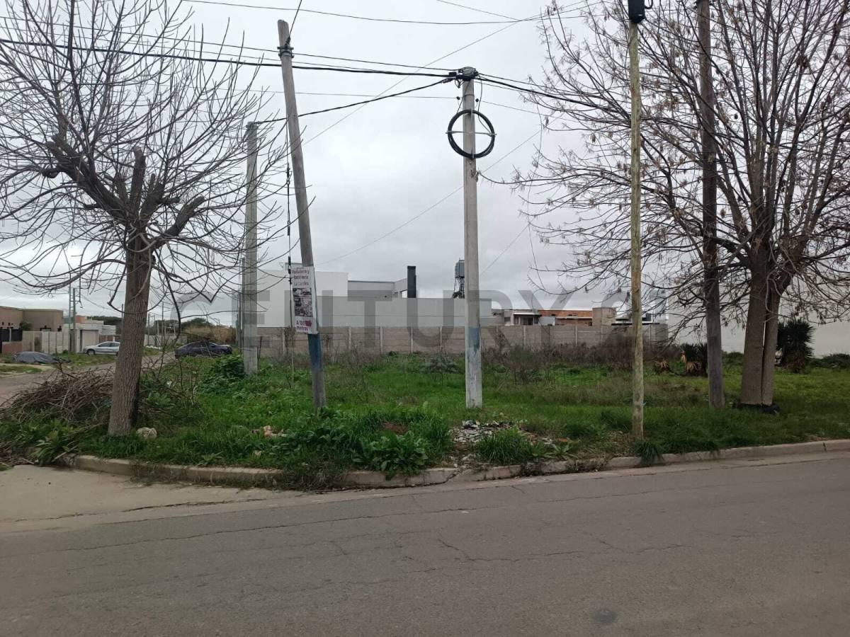 Foto de TERRENO LOTE EN VENTA BARRANCAS DE VILLA ELVIRA LA PLATA, imagen 2