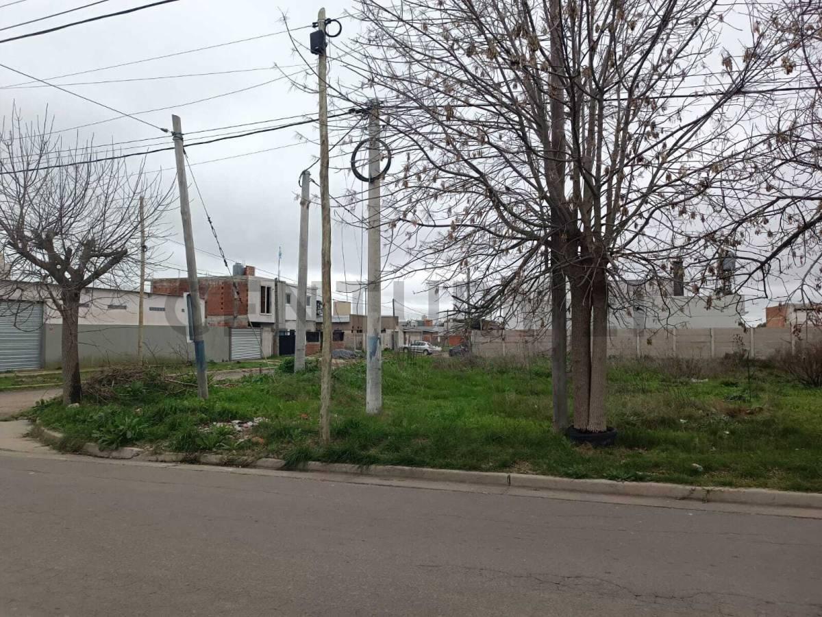 Foto de TERRENO LOTE EN VENTA BARRANCAS DE VILLA ELVIRA LA PLATA, imagen 4