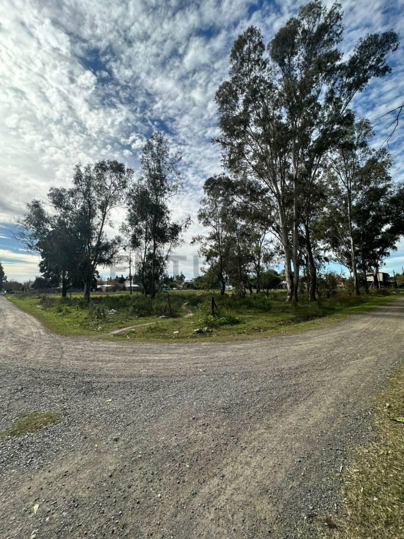 Foto de Venta de Lotes-Manzana completa con cuatro caras libres - pegado al, imagen 2