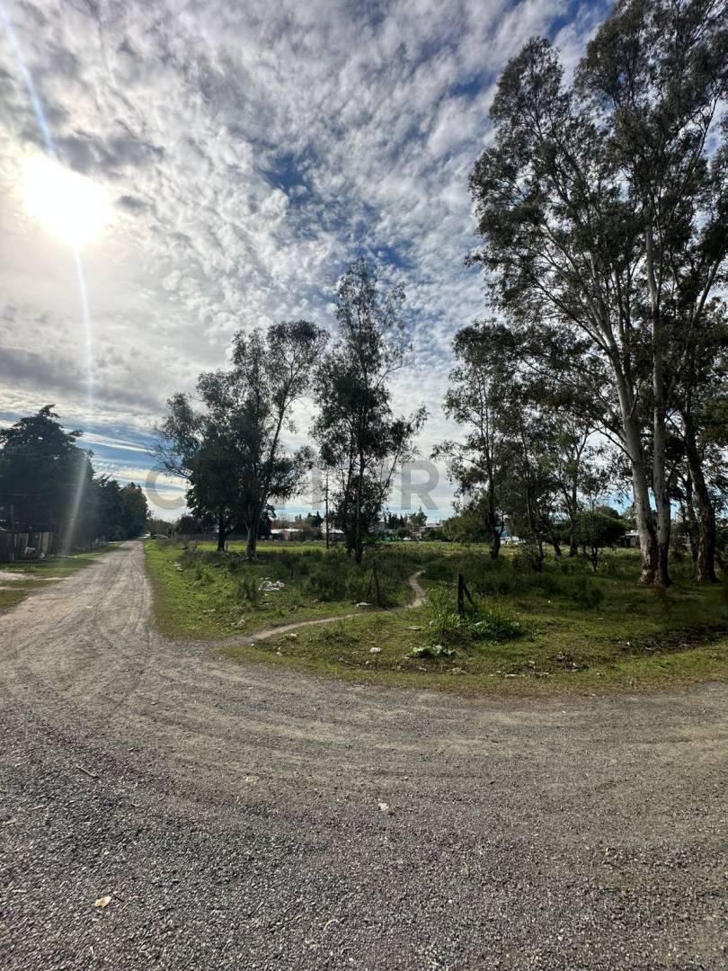 Foto de Venta de Lotes-Manzana completa con cuatro caras libres - pegado al, imagen 3