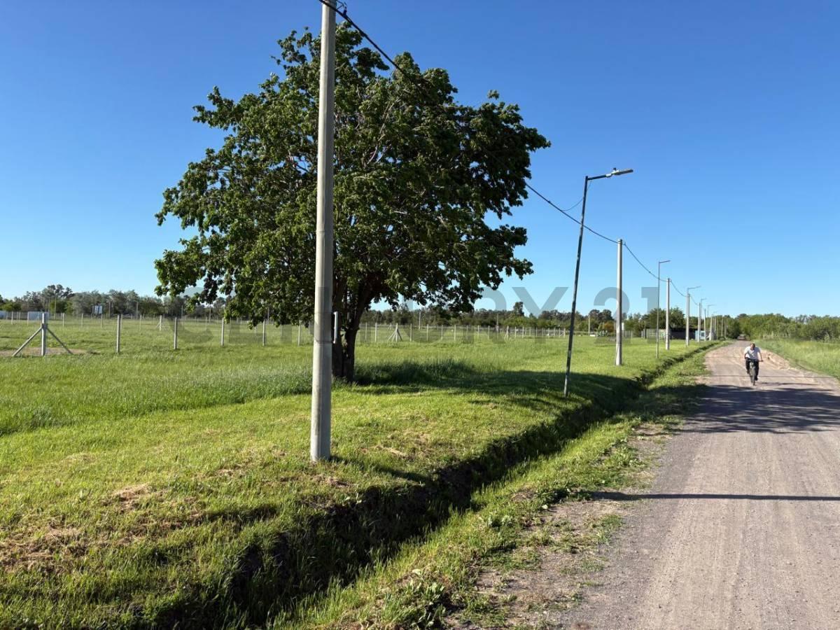 Foto de 161 y 501 LOTE EN VENTA BARRIO SENDEROS 300MTS, imagen 2