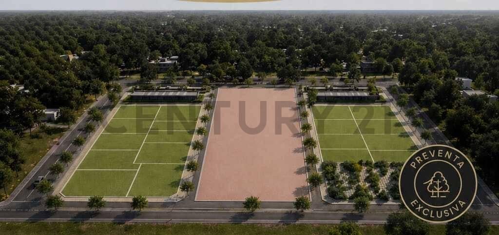 Foto de 419 ENTRE 135 Y 137 TERRENOS/LOTES EN VENTA - VILLA ELISA - BARRIO EL, imagen 1
