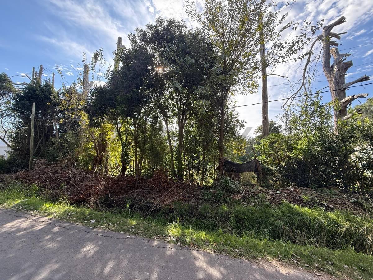Foto de 11 BIS Y 602 -Lote en venta La Plata Sicardi, imagen 1