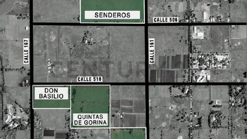 Foto de 510 Y 167 DON BASILIO LOTE EN GORINA EN VENTA, imagen 5