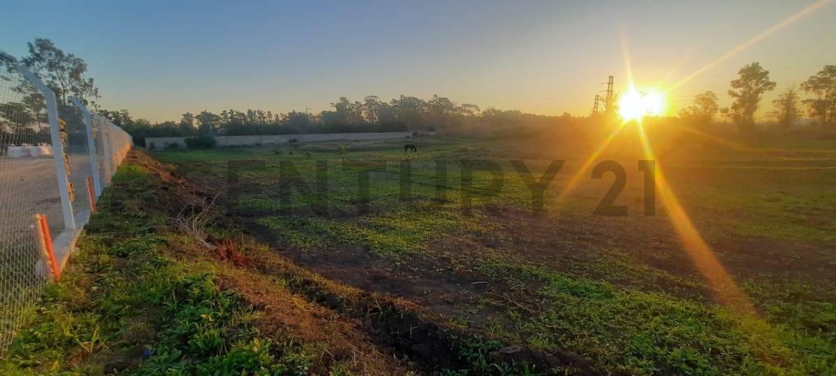 Foto de 153 515 y 516 Lote en venta en Melchor Romero, imagen 4