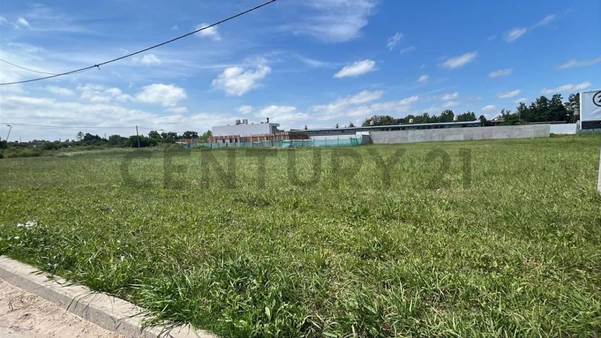 Foto de CALLE 506 E/ 31 Y 132 | TERRENO EN VENTA, imagen 5