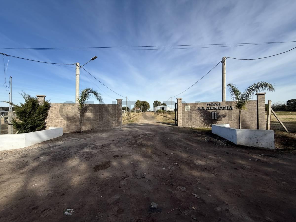 Foto de Lotes en Fincas la Armonia - Arana - 143 y 621, imagen 3