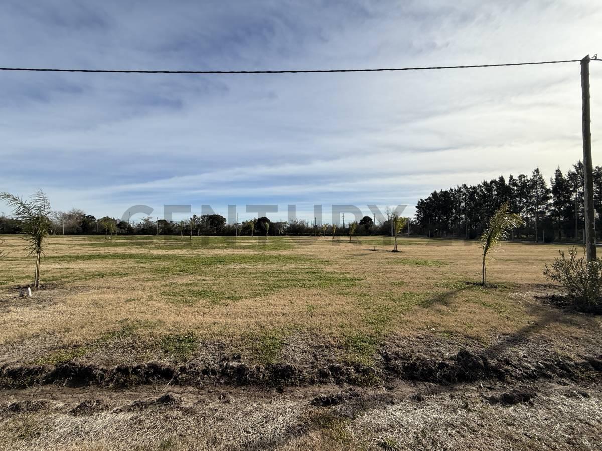 Foto de Lotes en Fincas la Armonia - Arana - 143 y 621, imagen 1