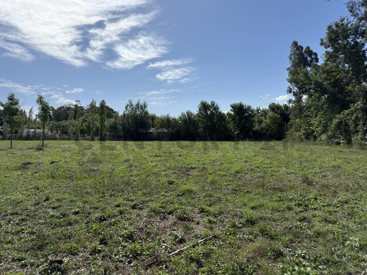 Foto de Amplio Terreno en Arana , Calle 633 y 15, imagen 2