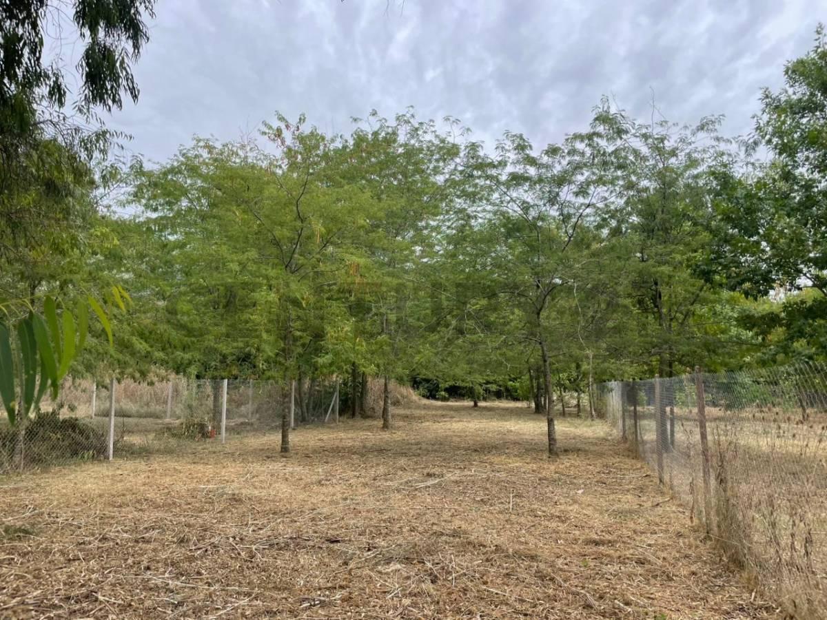 Foto de Calle 646 e/ 20 y 22 - A pocos metros del asfalto - Lote en Arana, imagen 1