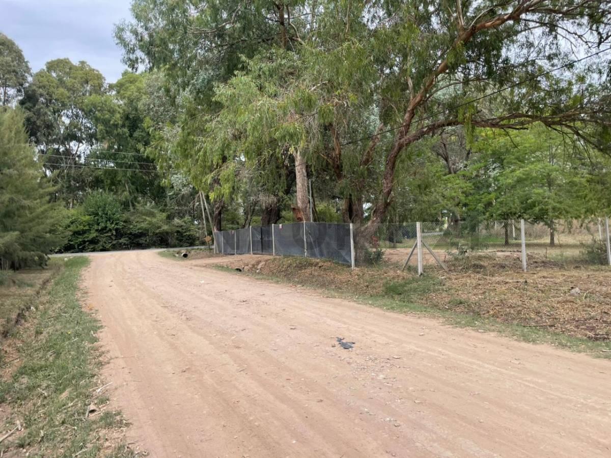 Foto de Calle 646 e/ 20 y 22 - A pocos metros del asfalto - Lote en Arana, imagen 2