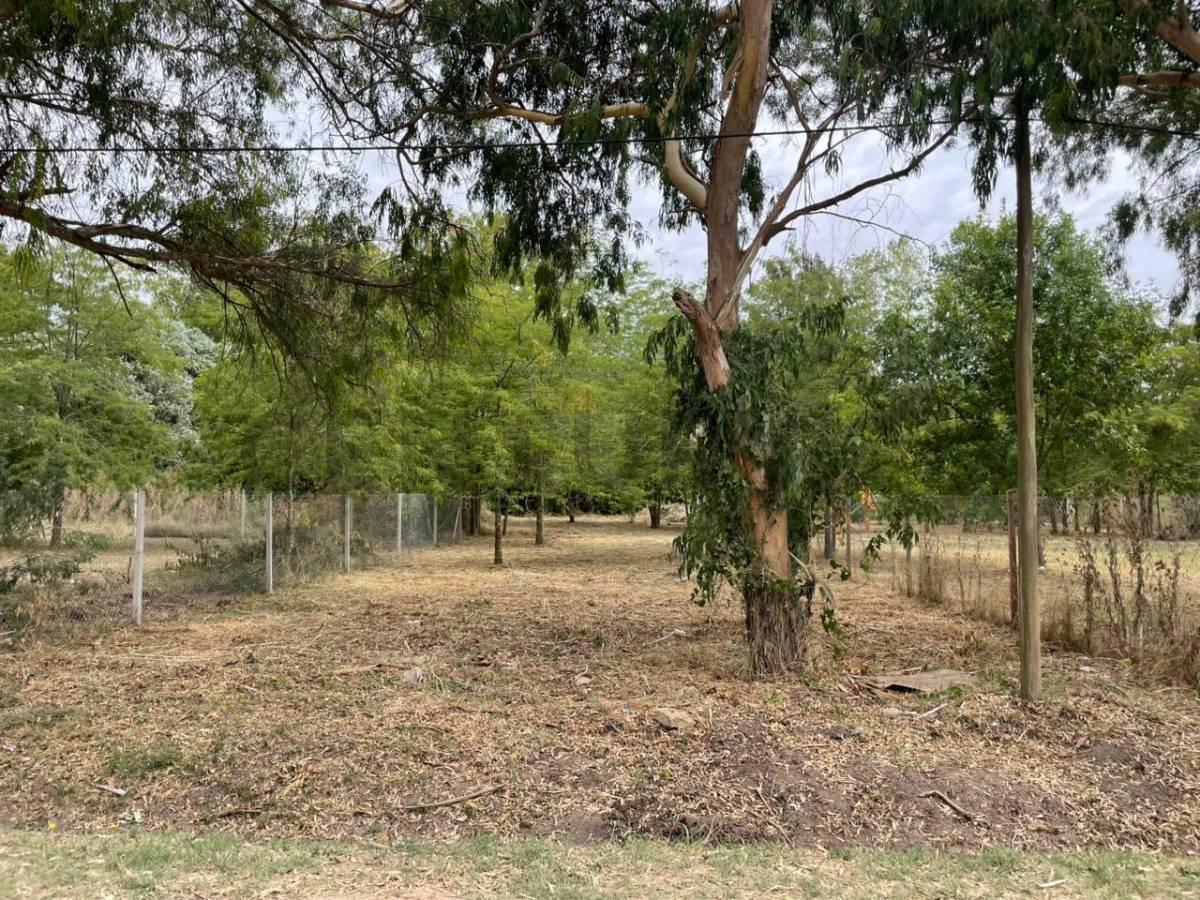 Foto de Calle 646 e/ 20 y 22 - A pocos metros del asfalto - Lote en Arana, imagen 3