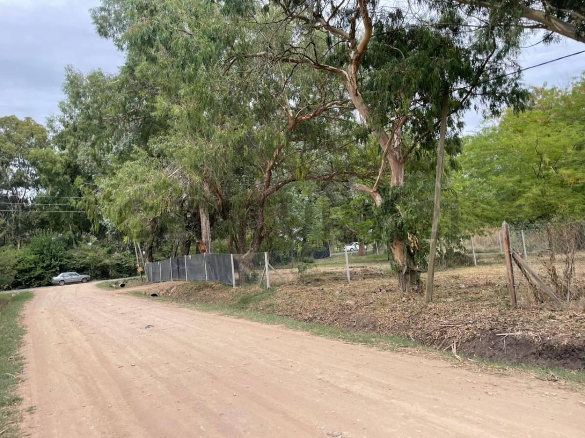 Foto de Calle 646 e/ 20 y 22 - A pocos metros del asfalto - Lote en Arana, imagen 5
