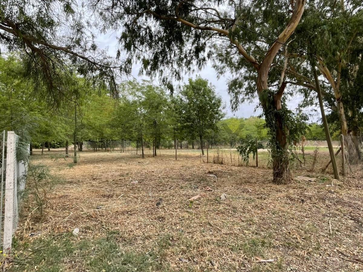 Foto de Calle 646 e/ 20 y 22 - A pocos metros del asfalto - Lote en Arana, imagen 4
