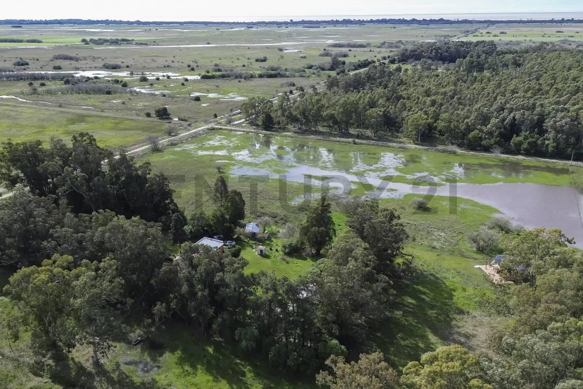 Foto de CASA DE CAMPO EN VENTA EN PUNTA INDIO CON 7 HECTAREAS, imagen 4