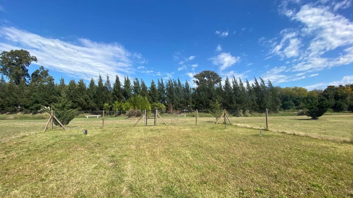 Foto de CASA EN VENTA EN LA PLATA DE 2 DORMITORIOS, imagen 4