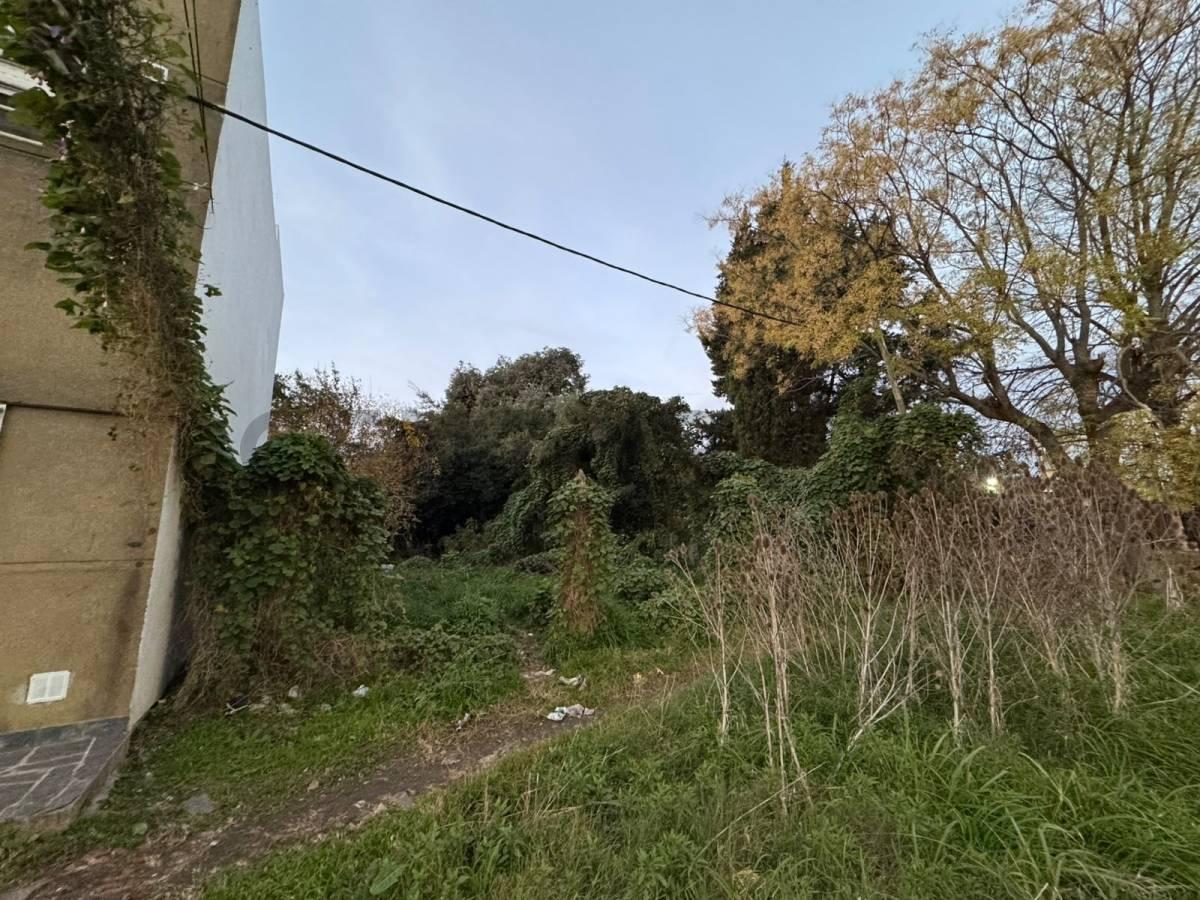 Foto de Lote en venta en La Plata av. 143 e/54 y 55, imagen 1
