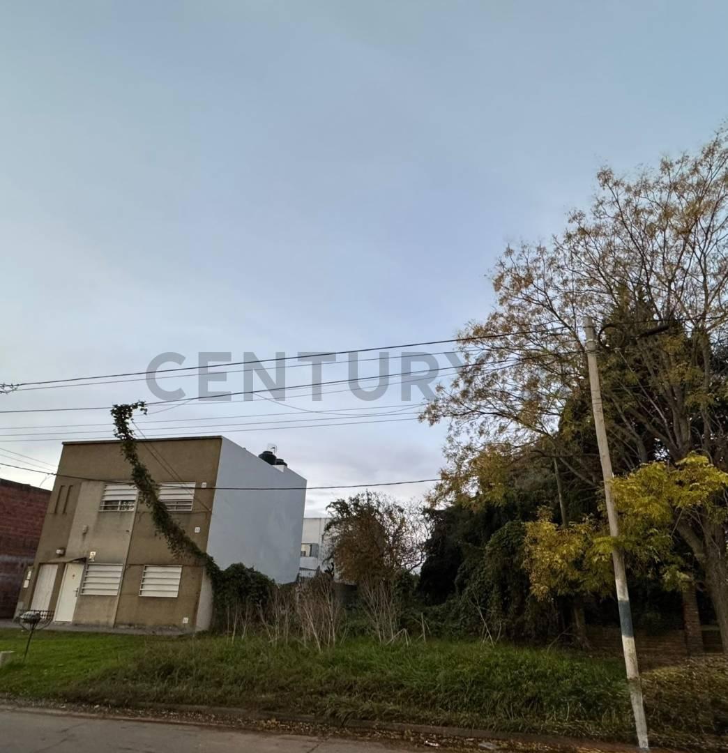 Foto de Lote en venta en La Plata av. 143 e/54 y 55, imagen 4