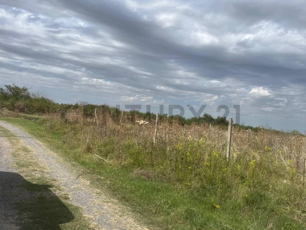 Foto de Lote en venta en Gonnet Villa Castells fraccion 5025 mts, imagen 2
