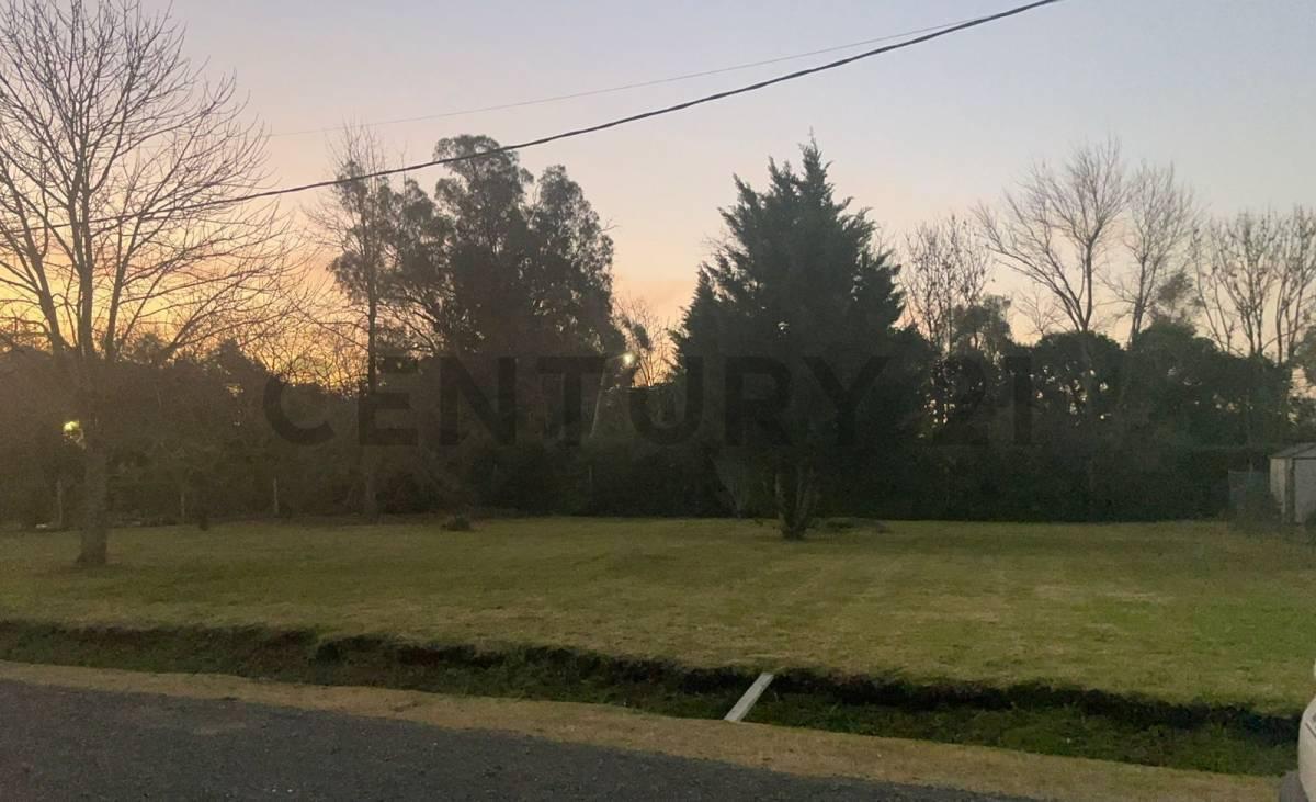 Foto de 483 entre 145 y 146 Lote en venta en Quintas de Gorina, imagen 1