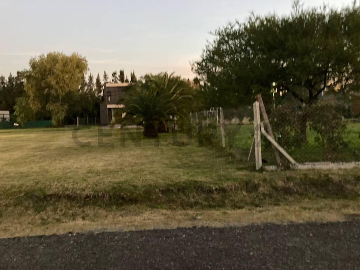 Foto de 483 entre 145 y 146 Lote en venta en Quintas de Gorina, imagen 5