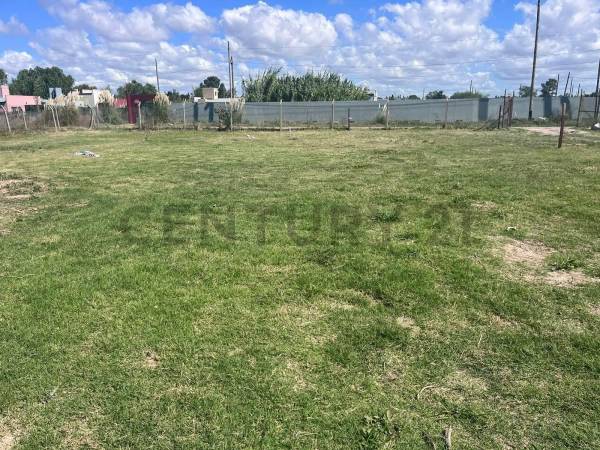 Foto de LOTE EN VENTA EN GONNET - 351,39m2 - VILLA CASTELLS, imagen 4