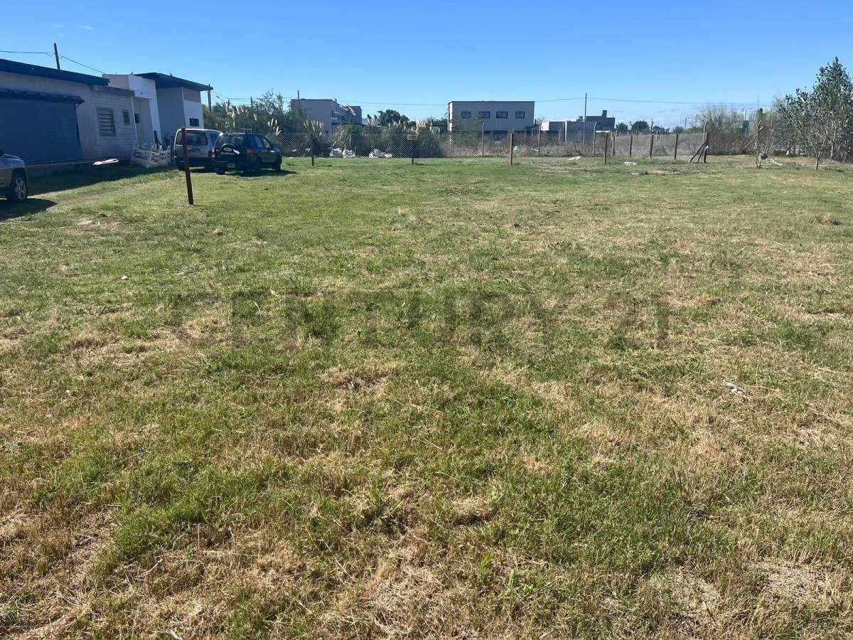 Foto de LOTE EN VENTA EN GONNET - 351,39m2 - VILLA CASTELLS, imagen 5