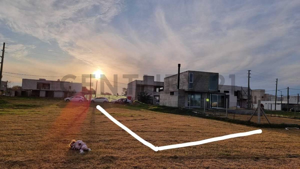 Foto de Lotes en venta en Altos de Don Carlos II, Joaquin Gorina, imagen 2