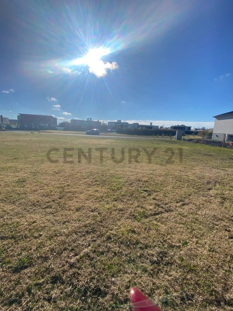 Foto de LOTE EN VENTA EN GREENVILLE, imagen 1