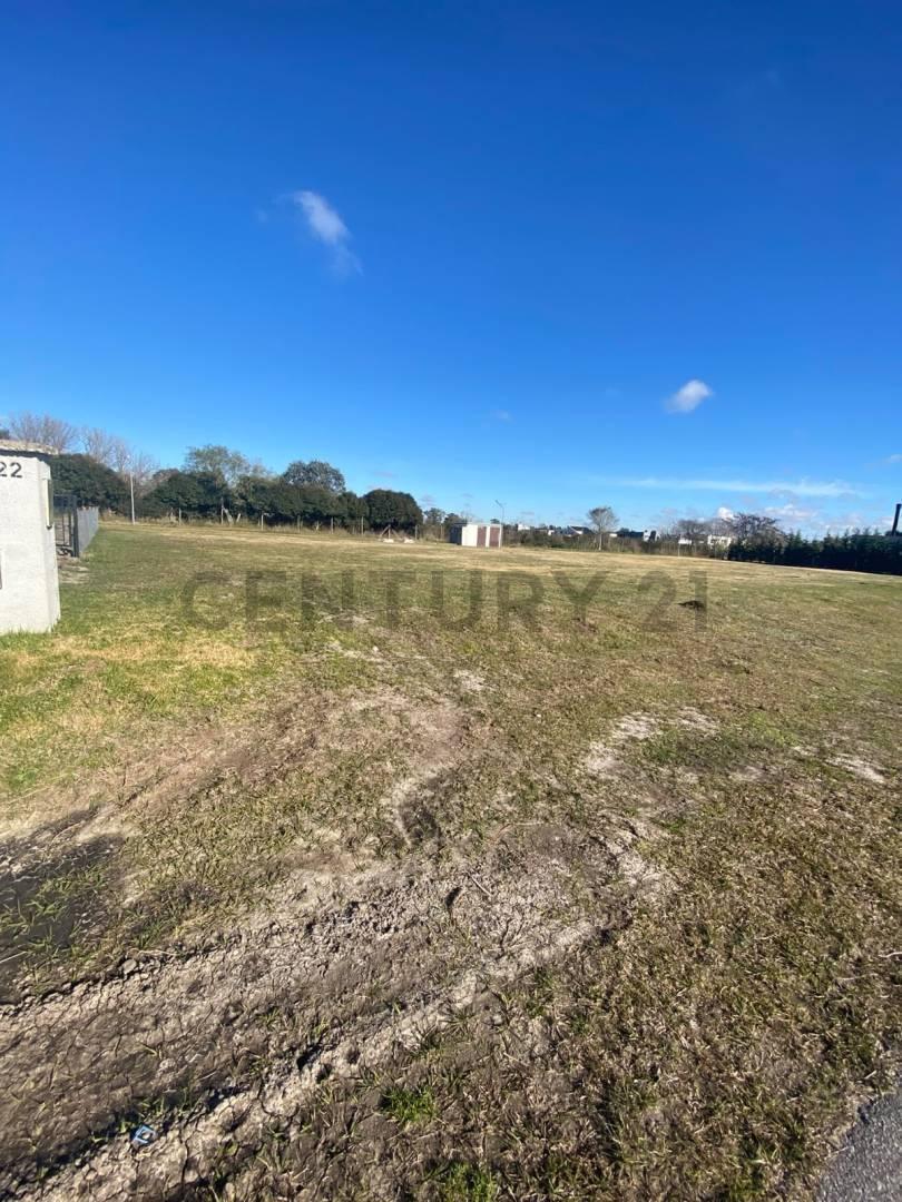 Foto de LOTE EN VENTA EN GREENVILLE, imagen 4