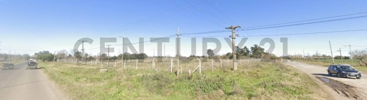 Foto de Calle 38 esq 173 Melchor romero - La plata | Venta Fracción de campo, imagen 4